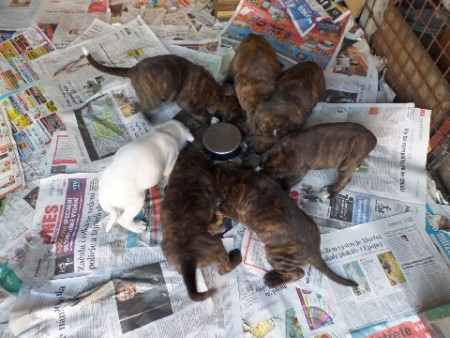 Na návštěvě v CHS Heny Box, duben 2014